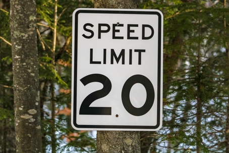 A 20 miles per hour speed limit sign with trees | Gannes & Musico, LLP